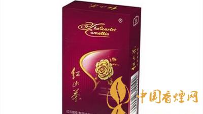 紅山茶紫市值多少錢？紅山茶紫口味如何？