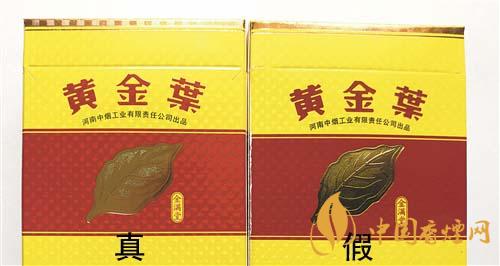如何辨別黃金葉金滿堂真假？2020黃金葉真假辨別詳情對(duì)比