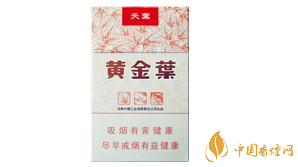 黃金葉天葉真?zhèn)卧趺幢鎰e？天葉真假如何看？