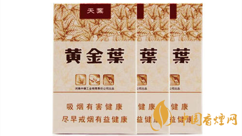 2020黃金葉天葉怎么樣？黃金葉大小天葉有什么不同