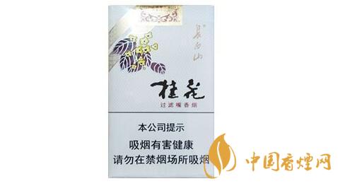 長白山桂花硬盒香煙價(jià)格2025 長白山香煙小盒價(jià)格