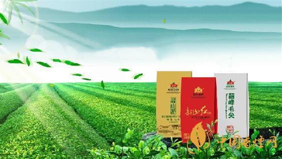 韶峰茶葉多少錢(qián)一斤報(bào)價(jià) 韶峰茶價(jià)格和圖片查詢