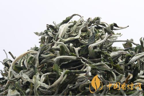 雪芽茶葉多少錢(qián)一斤最新價(jià) 雪芽茶市場(chǎng)價(jià)查詢(xún)