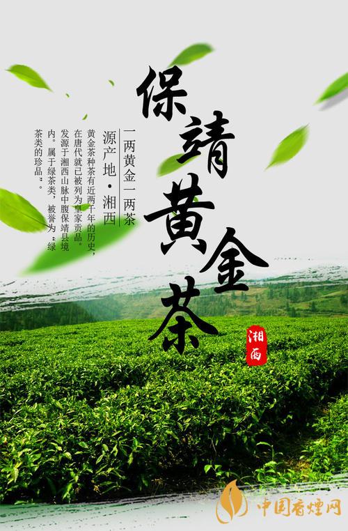 保靖黃金茶多少錢(qián)一斤 保靖黃金茶屬于什么茶