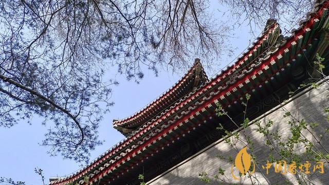 千元5g手機(jī)推薦 iqooz3測評(píng)