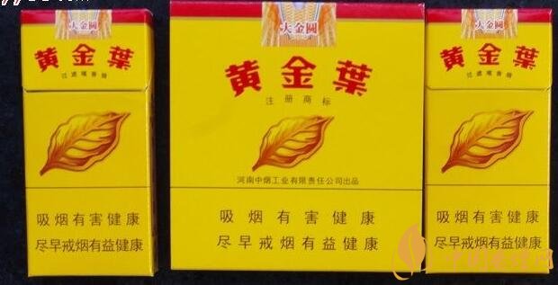 黃金葉大金圓香煙怎么樣，中低端香煙佼佼者