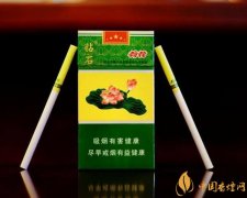 2025年細(xì)支荷花多少錢一包細(xì)支荷花價(jià)格表及圖片