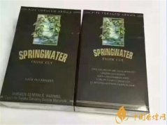 黑色春泉煙多少錢(qián)一包 德國(guó)Spring water(春泉)香煙價(jià)格13元/包