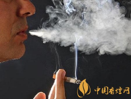 你不知道的吸煙危害 香煙不僅傷肺還傷胃！